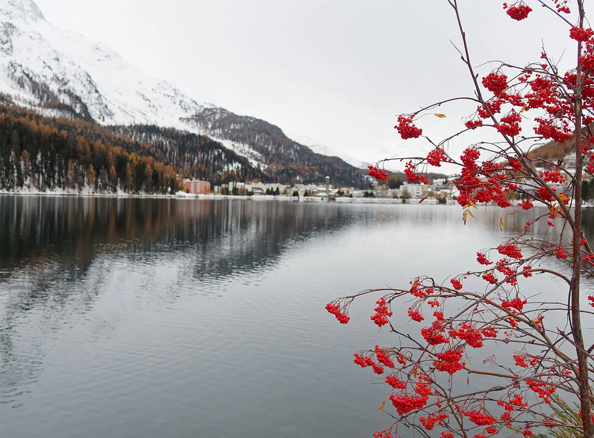 Lago di Sankt-Moritz