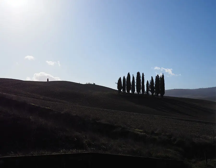 Collina di Cipressi Val d'Orcia