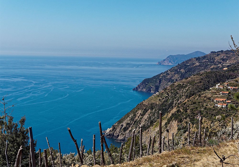 Vigneti di Liguria, terrazzati e a picco sul mare