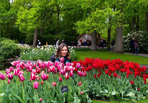tulipani a Keukenhof Park