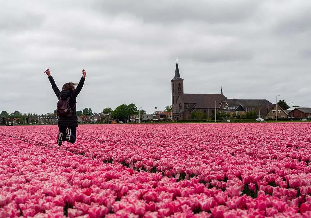 Tulipani nei dintorni di Keukenhof