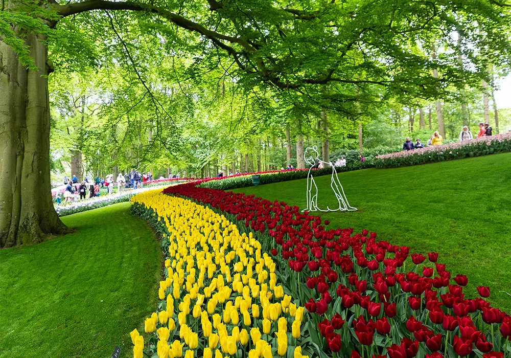 Tulipani colorati a Keukenhof