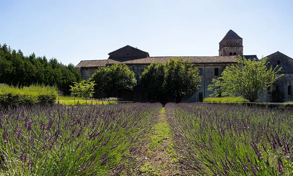 Saint-Rémy-de-Provence