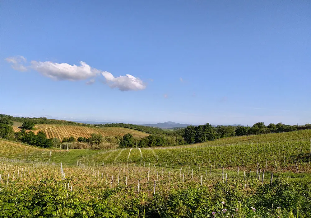 Paesaggi della Maremma grossetana, Magliano in Toscana