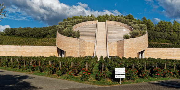 Petra Wine, cantina vitivinicola a Suvereto