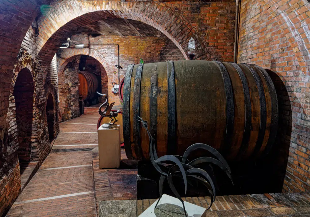 Degustazioni di vino in cantina a Montepulciano