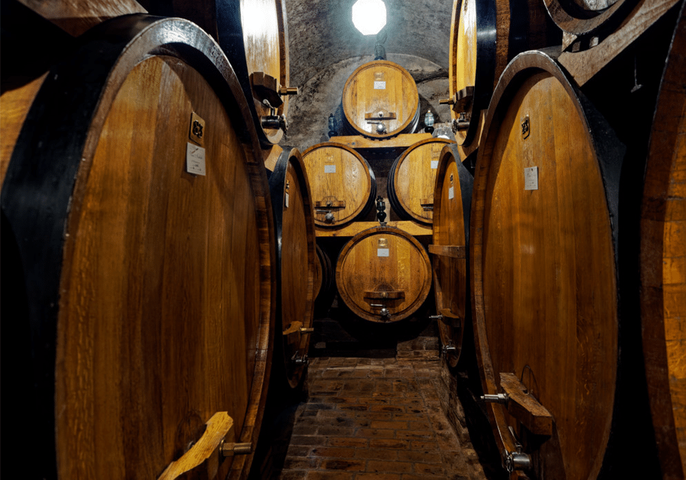 Montepulciano, visite e degustazioni di vino in cantina