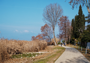 Ciclo pedonale Lazise Bardolino sul Lago di Garda