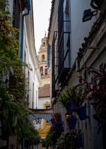 Calle de las Flores Cordoba, Andalusia