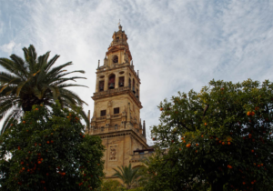 Patio de los Naranjos