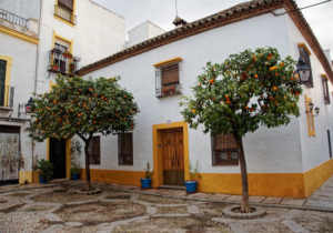 Juderia di Cordova, Andalusia
