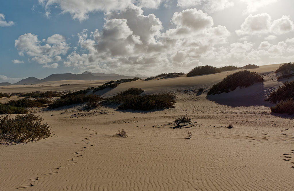 Parco Naturale delle Dune di Corralejo Fuerteventura